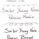 Test Pennini 1911 Young.jpg
